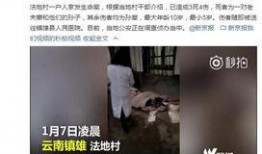 重庆命案惊人爆料视频播放,惊人细节引发社会关注