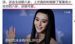 四姐八卦爆料视频大全下载,视频大全下载背后的精彩故事